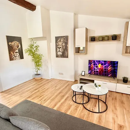 Apartment Vive Xvi *
